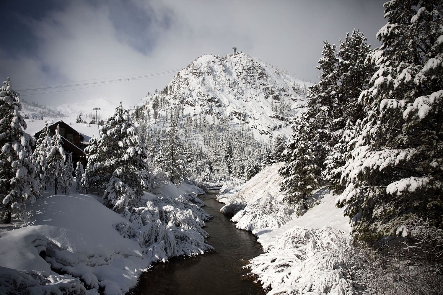 What We Know So Far About the Deadly Avalanche at Palisades Tahoe Ski Resort{palisades tahoe}